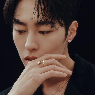 ann 🐯's profile picture