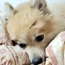 Profilbild von ちーぼ
