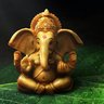 Фото профиля sharma