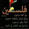 ايمن السعيد 的头像