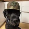 Profilbild von H.Bobby B