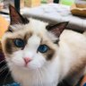 Benjamin Button 的头像