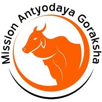 Cow’s Life Matters's profile picture