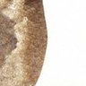 アジパンダ profil fotoğrafı