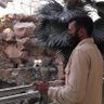 Profilbild von ابوفاضل