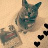 Profilbild von 💜 Chapitas 🐈⬛ 🌈💚🍉✌️