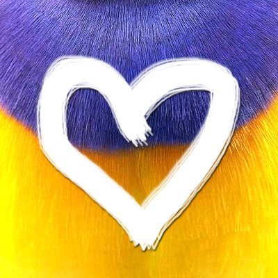 Slava 🇺🇦's profile picture
