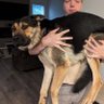 Steve's profile picture