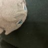 もも ののむ profil fotoğrafı