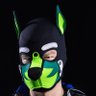 Pup Roxas 🔜 @roxaspup.bsky.social 的头像