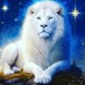 Profilbild von ........