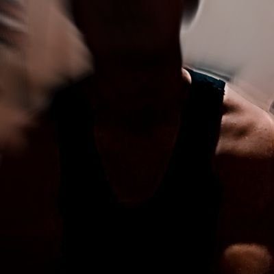 soybillsinsesto's profile picture