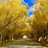 Фото профиля 伪行者(互关必回)
