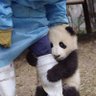 席一清 的头像