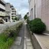 平和love 的头像