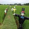 Фото профиля orang_orangan_sawah