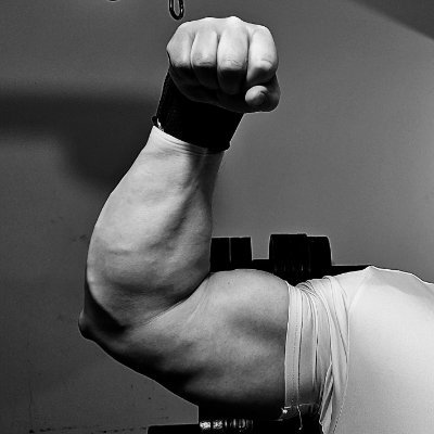 FLEXjs's profile picture