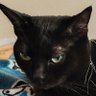 ずんずん profil fotoğrafı