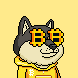 用生命搞⭕️$brc-20's profile picture