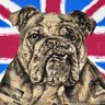 DINGA🇬🇧's profile picture