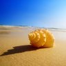 A Sand Grain's profile picture