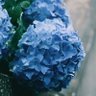 Фото профиля freeasusual