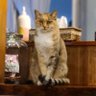 Profilbild von gimami