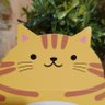 ぺぺゆう profil fotoğrafı