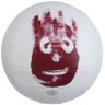Profilbild von Wilson The Volleyball
