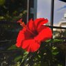 S313 profil fotoğrafı