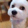 Kiiko 的头像