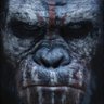 Koba Thomas profil fotoğrafı