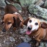 Daisy's profile picture