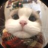 Pearl's profile picture