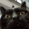 Suzhou65's profile picture
