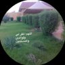 وفـاء العمـراني profil fotoğrafı