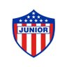 Jorge Borda Viloria 的头像