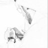 Profilbild von رائـــد | Rayed