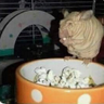 Profilbild von Dospuntosuve32