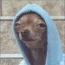 Mamba profil fotoğrafı