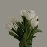 Фото профиля صدقه جارية للمرحومه / منيره علي البوهيا