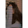Sristi's profile picture