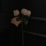 فـَـطوم♡. 的头像