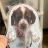 こまめ 的头像