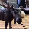 かくかくしかじか 的头像