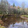 RZV500 的头像