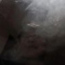 cokkkkkk's profile picture