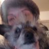 (((kid yid & her jew dog))) 的头像