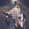 柯林 profil fotoğrafı