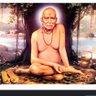 Amit Gaikwad's profile picture